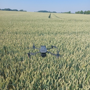 Praktické využití pro nasazení dronu najdeme prakticky v každé plodině