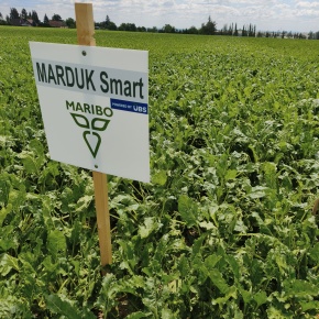 Maribo Marduk Smart (10. 7. 2026), originál k dispozici u autora