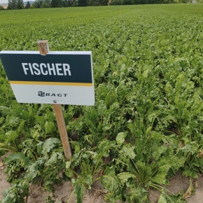 RAGT Fischer (10. 7. 2026), originál k dispozici u autora
