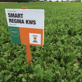 Smart Regina KWS (10. 7. 2026), originál k dispozici u autora